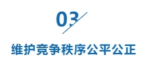 infoflow_2024-12-5_11-27-48.jpg